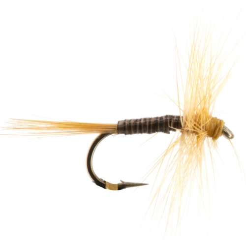 The Essential Fly Ginger Quill Dry Fishing Fly